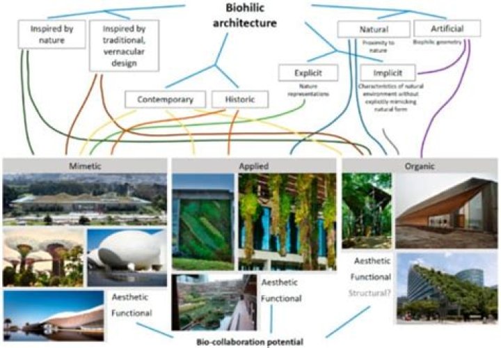 Biophilia: A Revolutionary Educational Project By Björk