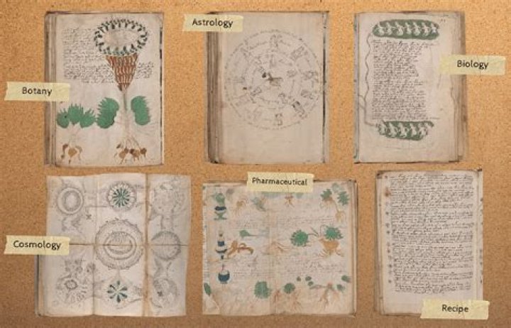 The Book Nobody Can Read: What Secrets Does the Voynich Manuscript Keep?