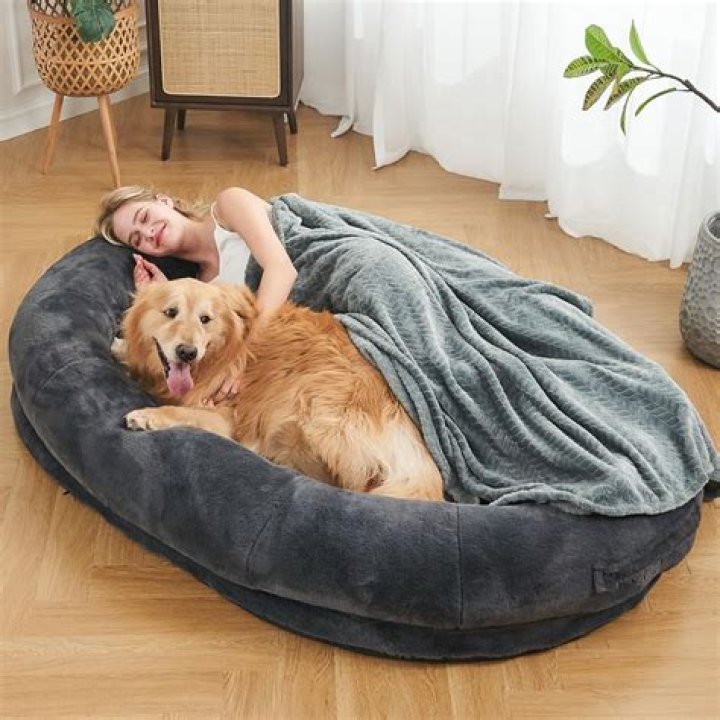 TikTok Human Dog Bed on Amazon 2024